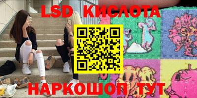 стафф Заволжье
