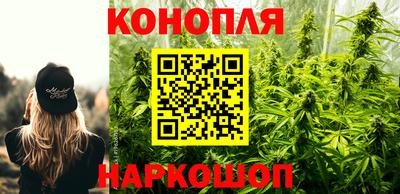 гашик Жуковский