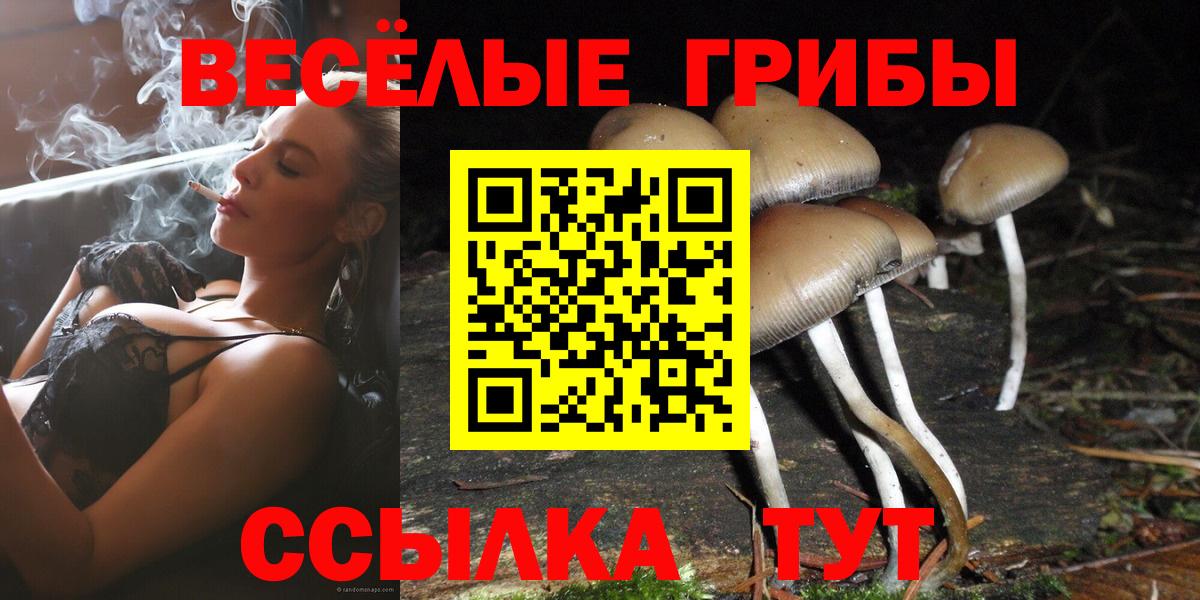 Псилоцибиновые грибы ЛСД  Галлюциногенные грибы мухоморы  Озёрск  Вход с VPN 